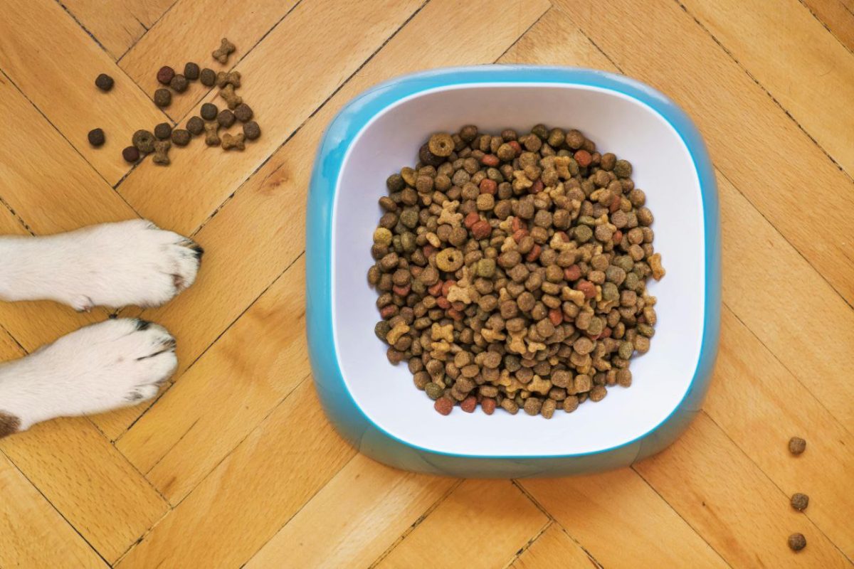 DIATOMITE USAGE IN PET INDUSTRY