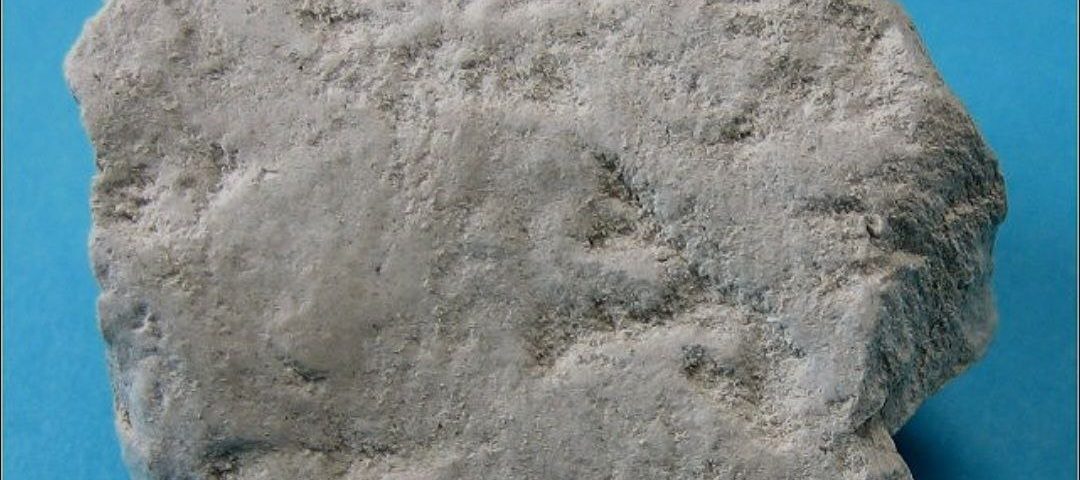 diatomite stone