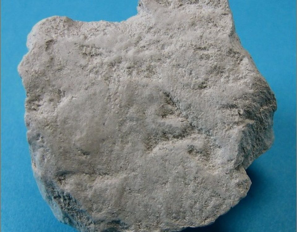 diatomite stone