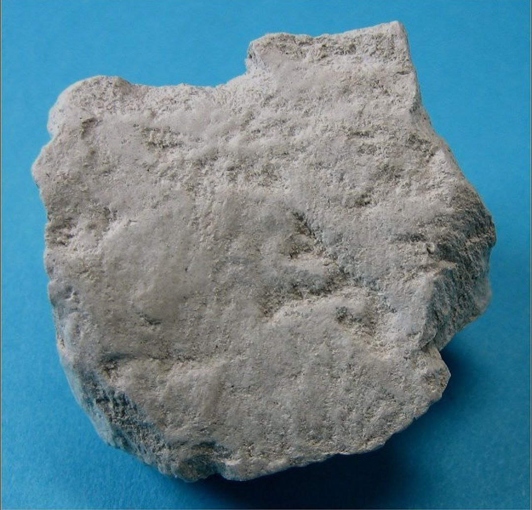 diatomite stone
